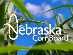 Nebraska Corn Board