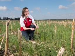 Nebraska’s Andrea Basche and a colleague have found that planting perennials and cover crops may substantially improve the ability of soils to soak up heavy rainfall, potentially alleviating the most severe effects of flooding and drought. | University Co