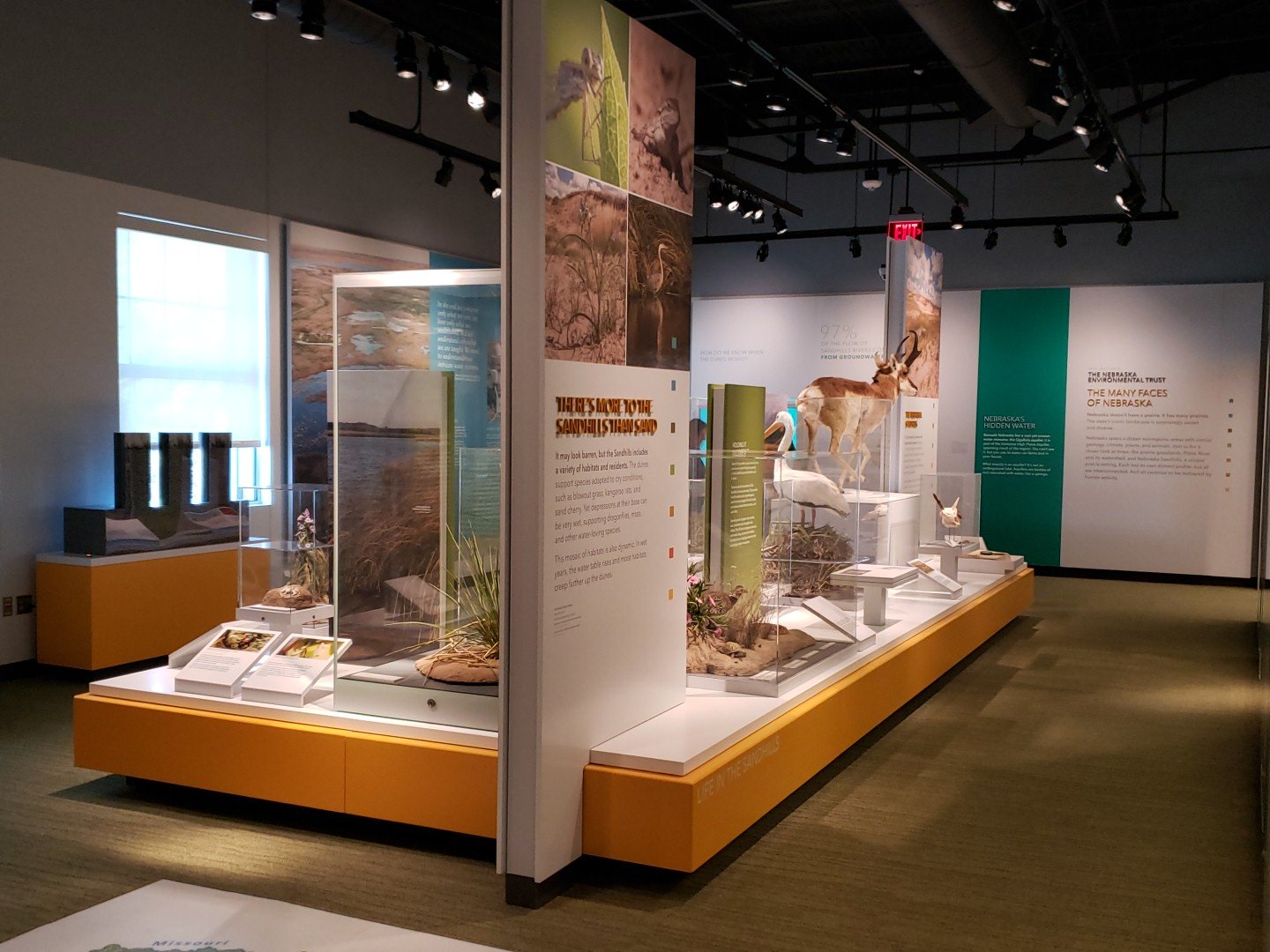 Part of the Cherish Nebraska exhibit in the University of Nebraska State Museum. | Troy Gilmore, Natural Resources