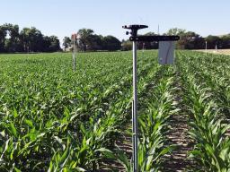 Researchers with the University of Nebraska-Lincoln will use the Arable Mark IOT device to record 40 variables, including rainfall, solar radiation and plant health, in Nebraska farm fields as part of a research effort to improve data farmers use to deter