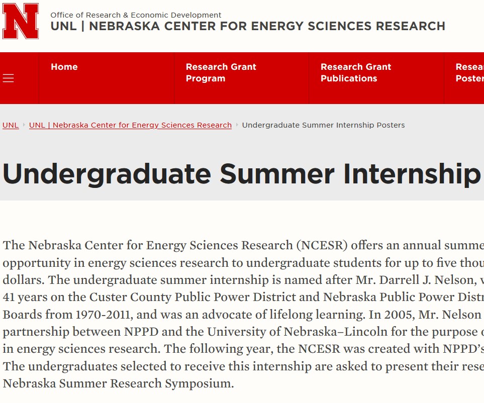 NCESR Undergraduate Summer Internship