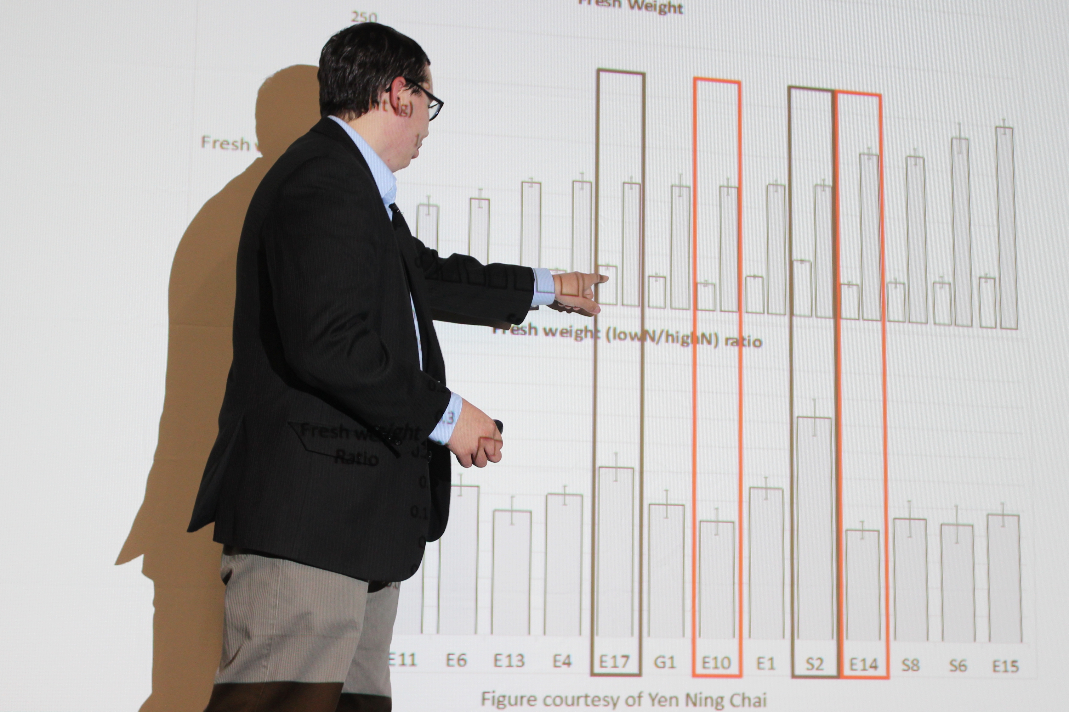 Researcher giving a presentation