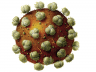 A scientifically accurate illustration of an HIV virus designed by Angie Fox, staff illustrator for the NU State Museum.