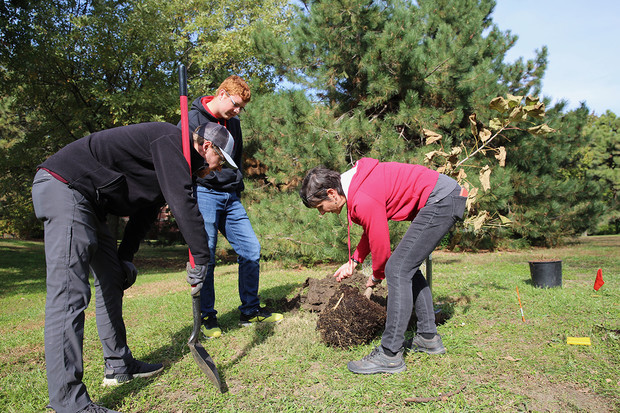 Associate professor Kim Todd, right, helps two students plant a tree on Oct. 16. 