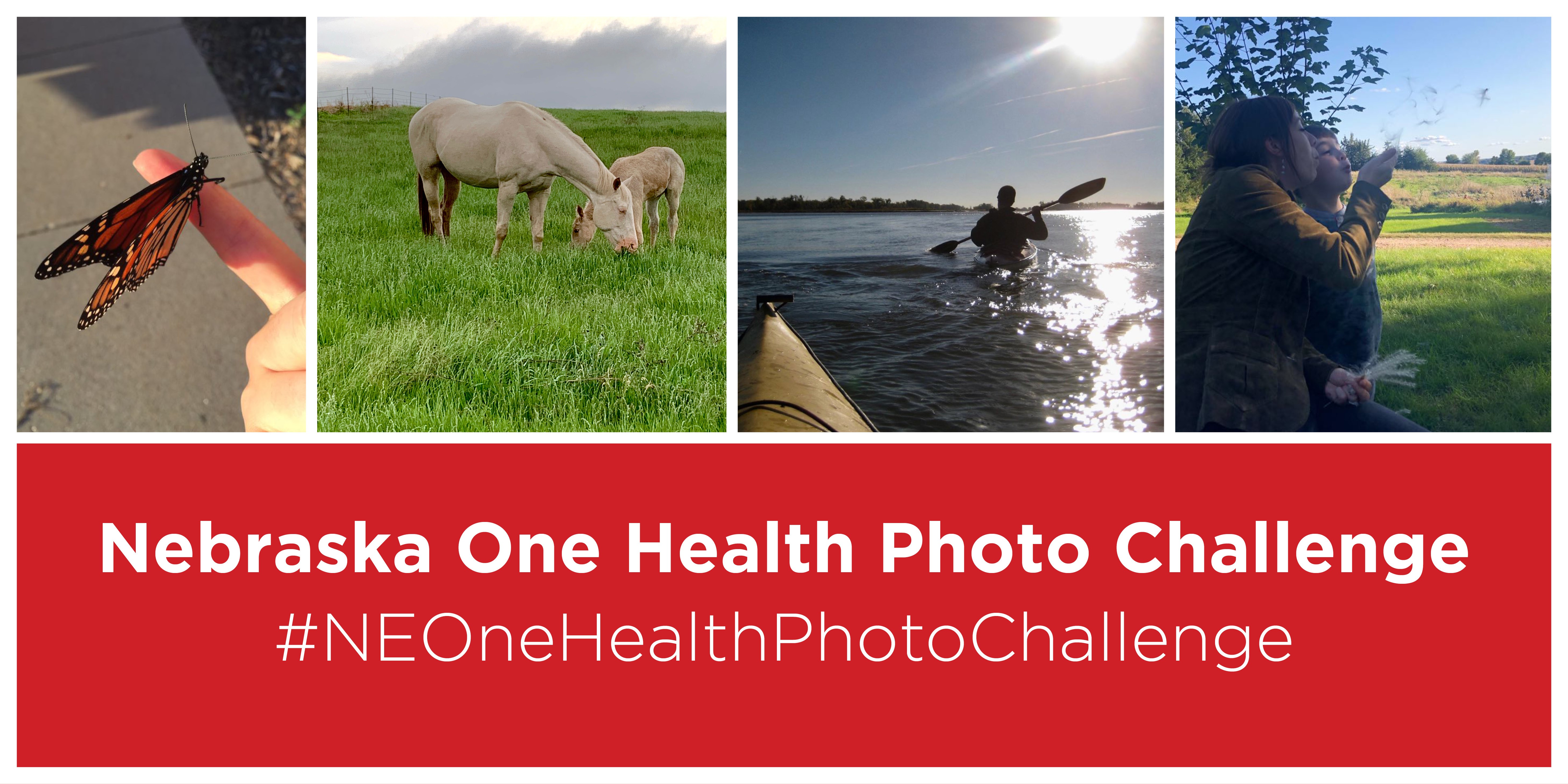 Nebraska One Health photo challenge