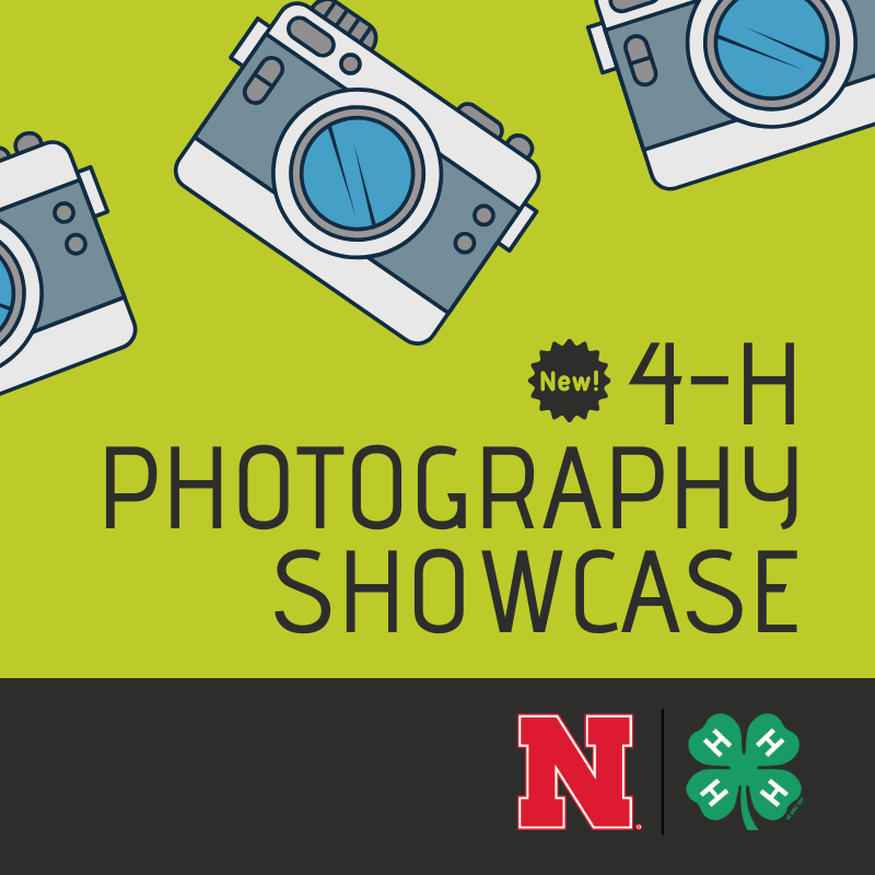 Announcing the new 4-H Photography Showcase! 