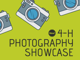 Announcing the new 4-H Photography Showcase! 