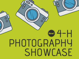 Photography Showcase.png