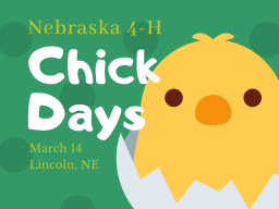 chick days 19.png