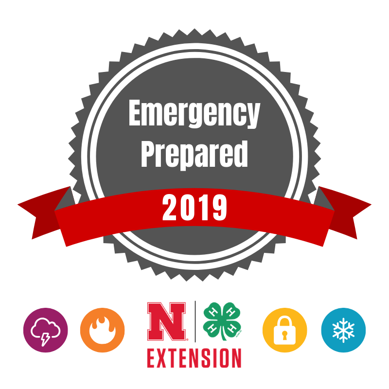 2019 Emergency Prepared badge