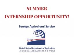 The internships typically last for six weeks during the summer season, although there is flexibility on start and end dates. Internships can last up to 16 weeks.