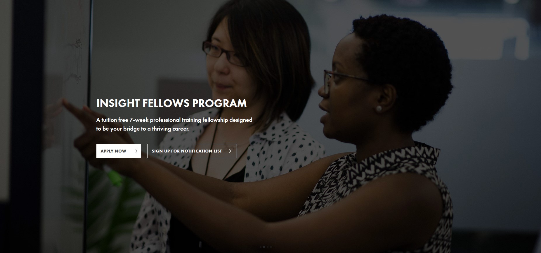 Insight Fellows Program