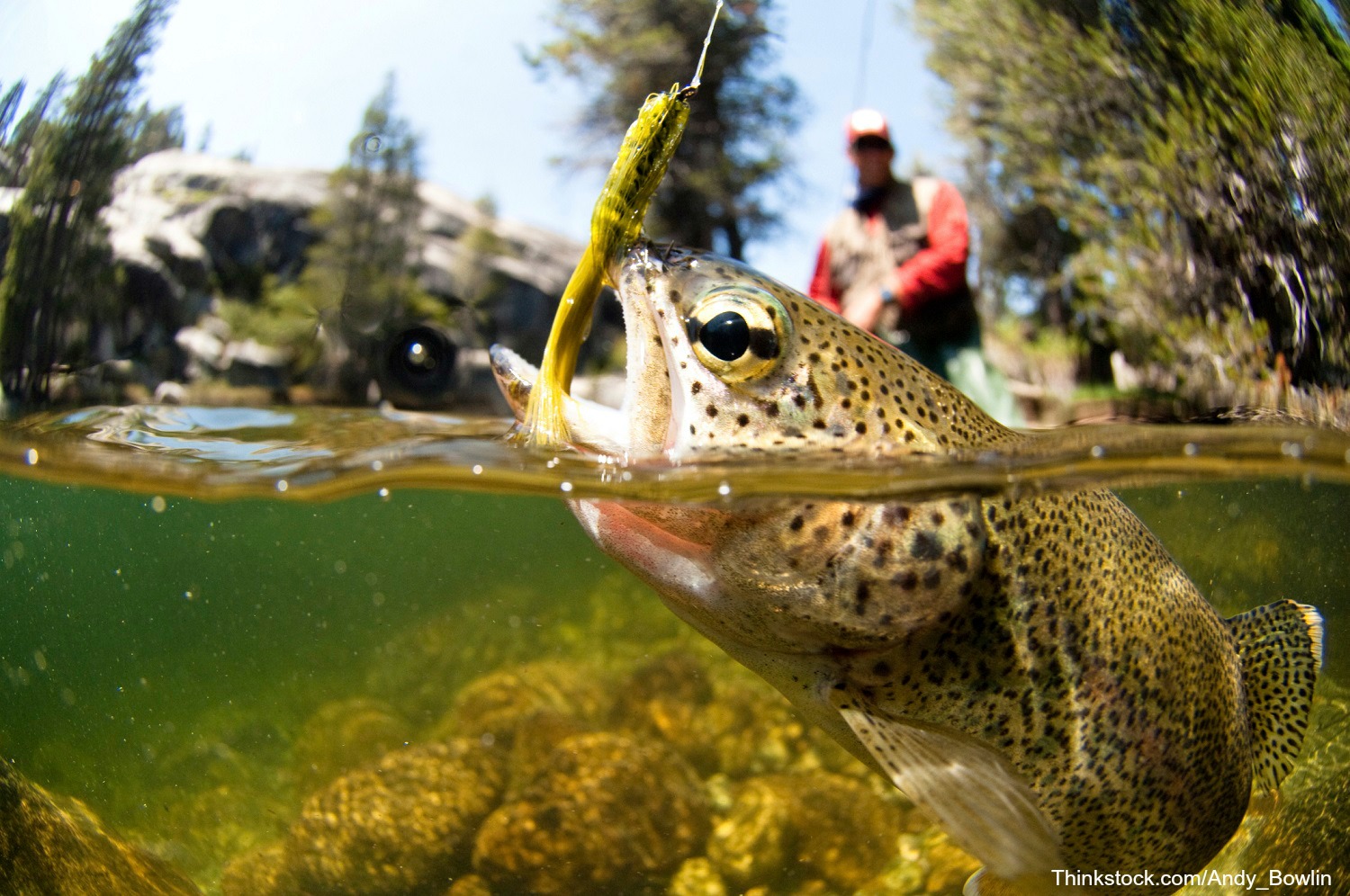 Learn the art of fly fishing through casting practices, outings, and more!