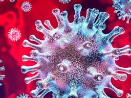 First identified in the city of Wuhan, Hubei Province, China in December, the 2019 Novel Coronavirus is causing an outbreak of pneumonia illness. 