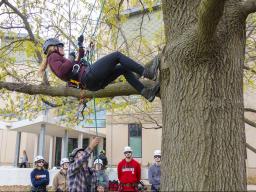 Students in arboriculture learn to climb trees safely during class at the School of Natural Resources. | Craig Chandler, University Communications