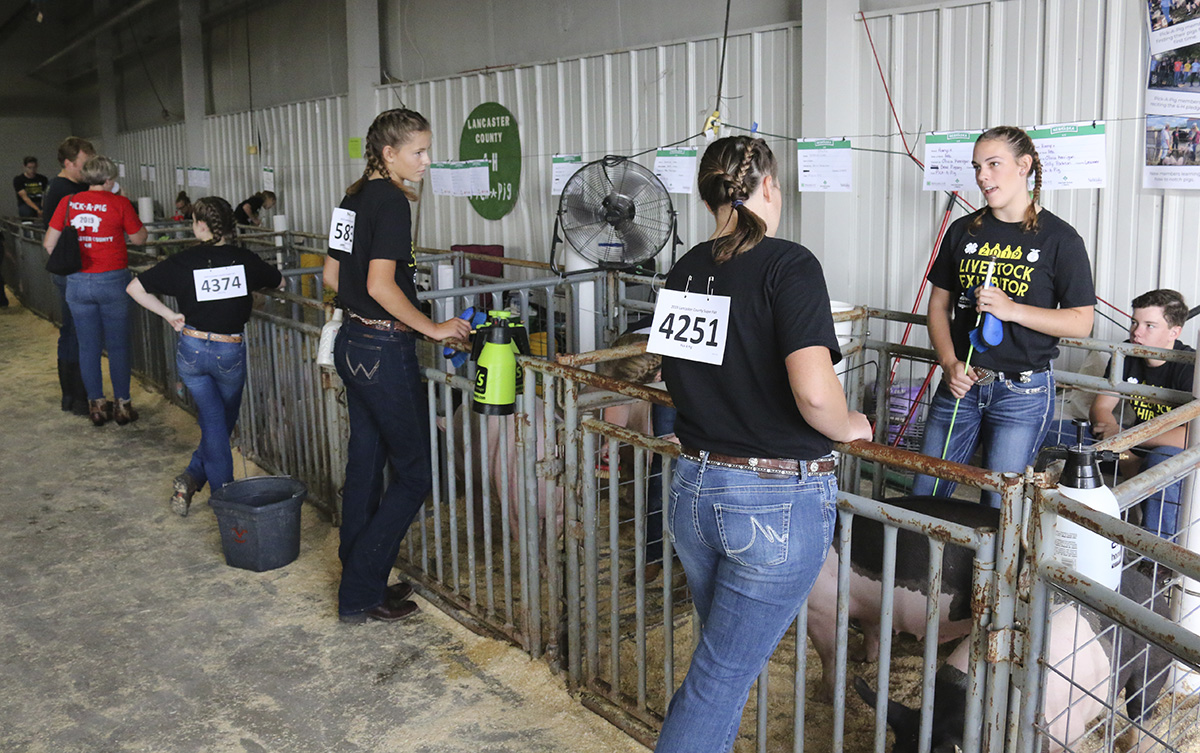 Pick-A-Pig 4-H club members at the 2019 Lancaster County Super Fair