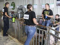 Pick-A-Pig 4-H club members at the 2019 Lancaster County Super Fair