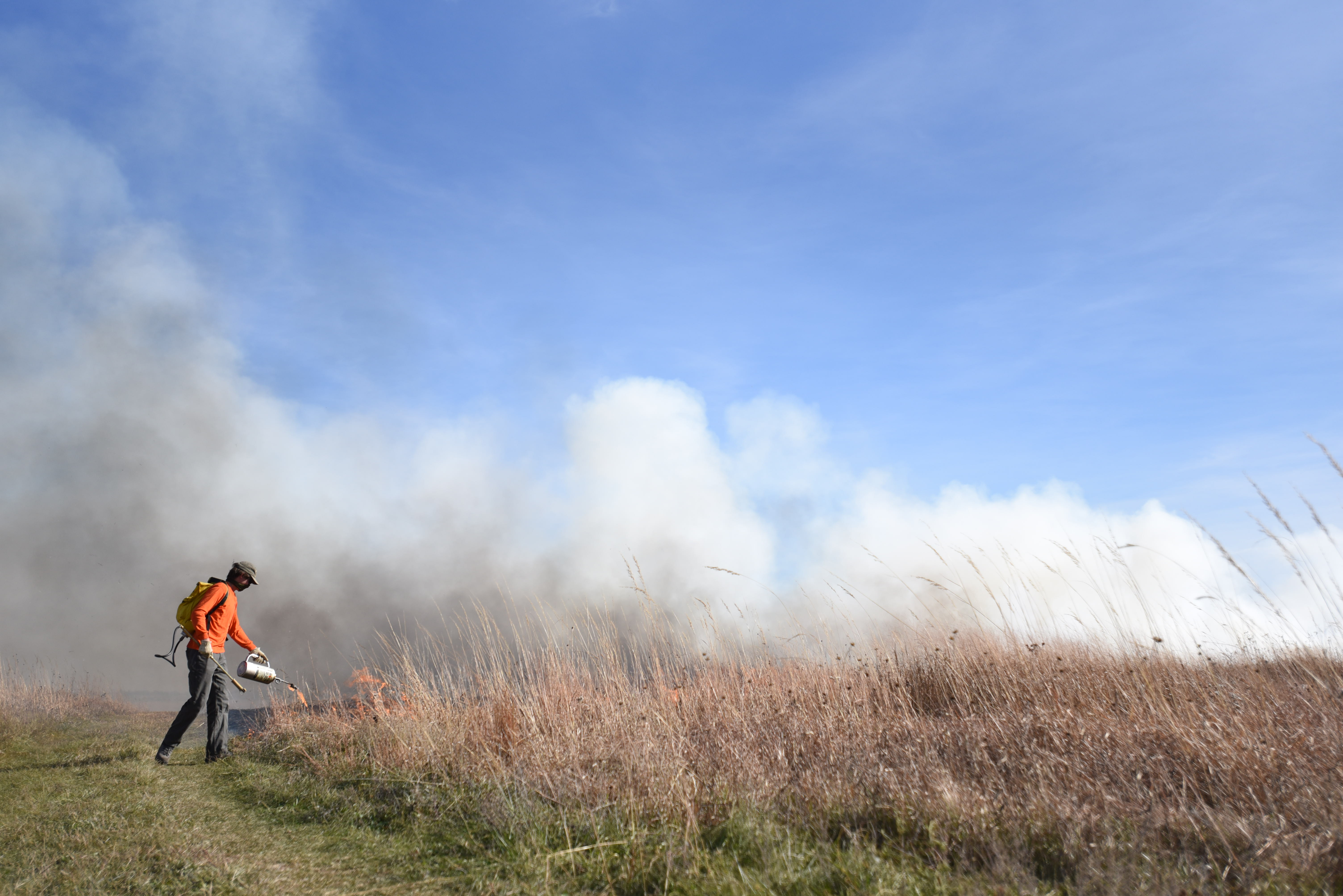 Nick Hoeven, senior fisheries and wildlife major, participates in a training burn at Nine-Mile Prairie in 2019. | Shawna Richter-Ryerson, Natural Resources