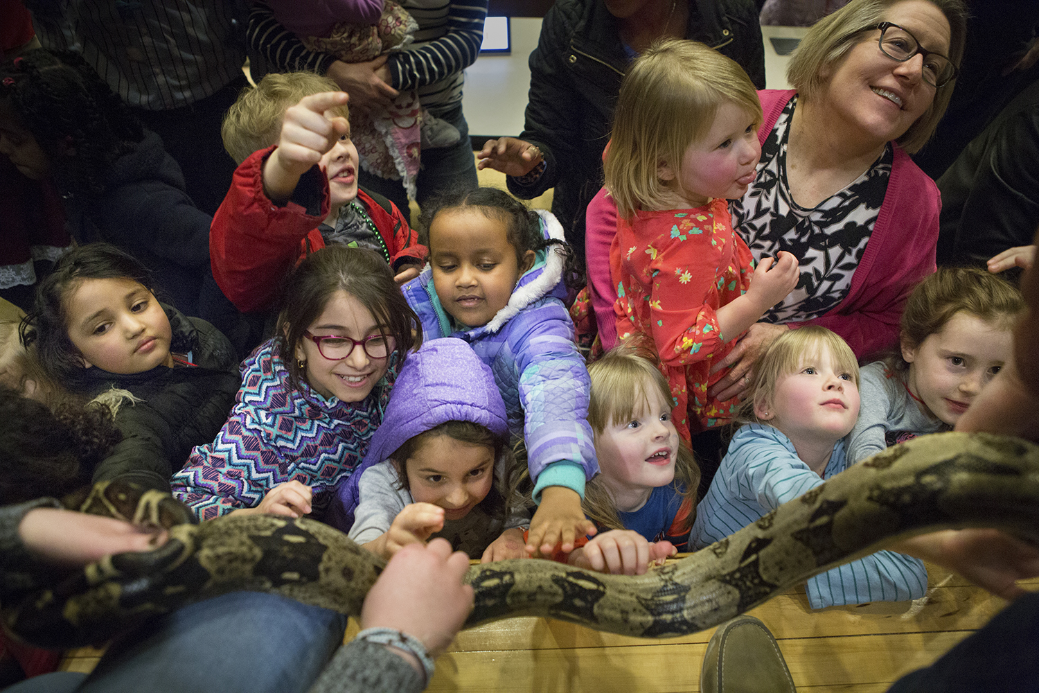 Kids get the opportunity to touch a snake during an event with Wildlife Encounters held by the School of Natural Resources at Hardin Hall on Tuesday, March 5, 2019. The event was part of the annual College of Agricultural Sciences and Natural Resources We