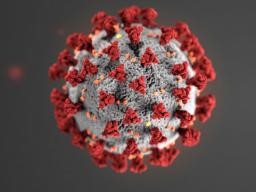 Coronavirus