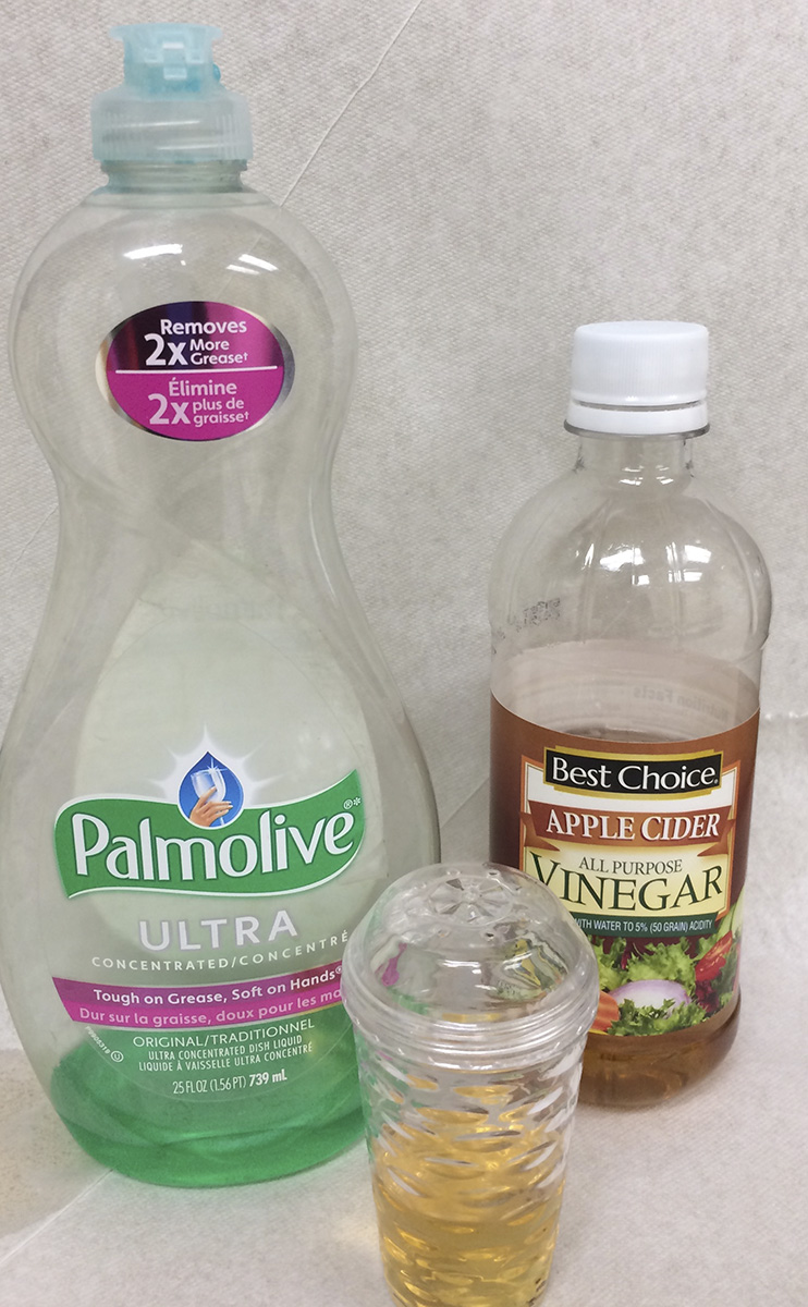 Fruit flies can be trapped using a homemade fruit fly trap using household items: saltshaker,  2 drops of dish soap and  apple cider vinegar. (Photo by Jody Green, Nebraska Extension in Douglas-Sarpy Counties)