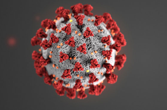 COVID virus illustration