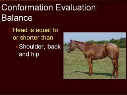Still from Nebraska Extension's "Conformation and Selection of Horses" video
