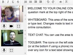 Screenshot of an online consultation