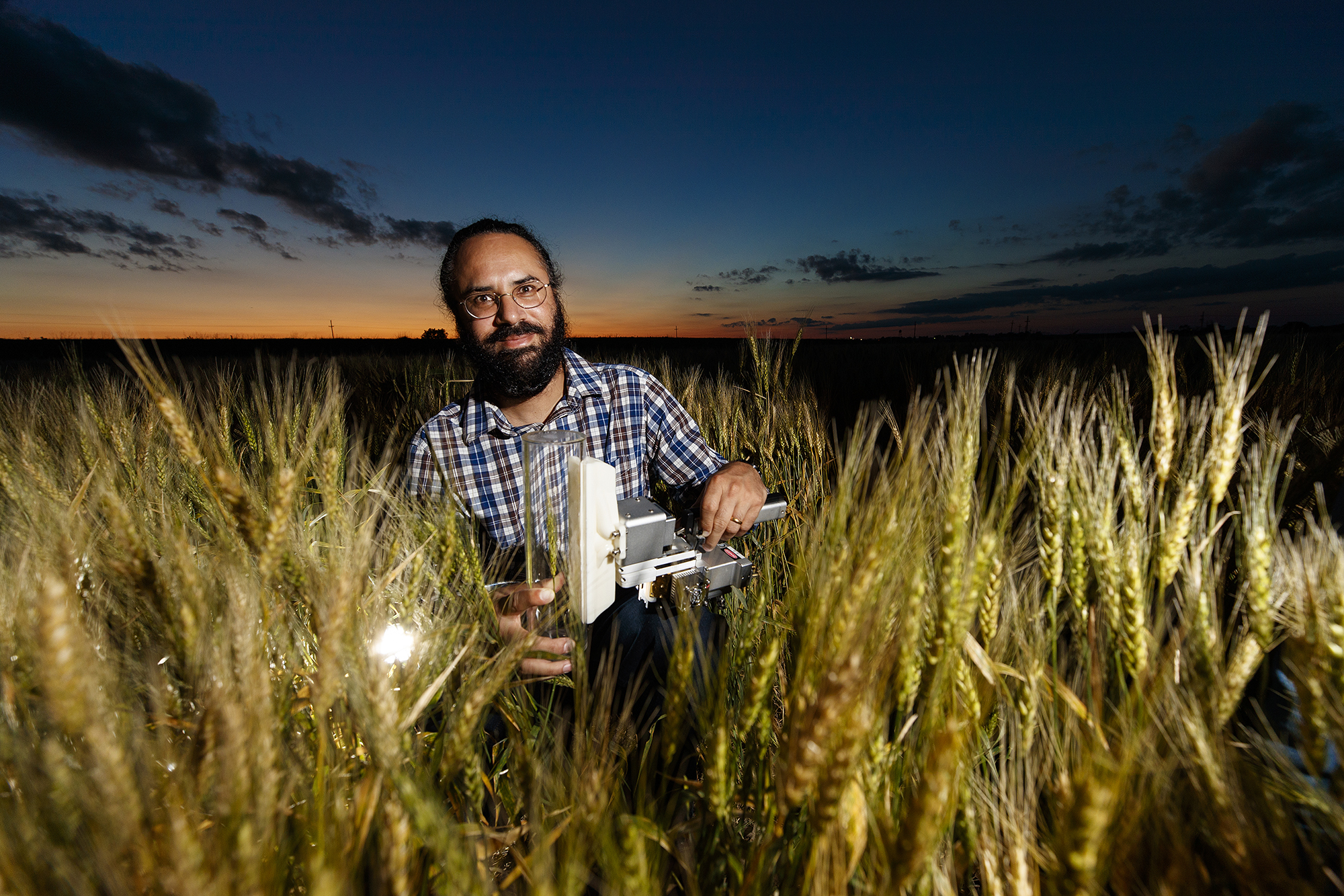 Nebraska’s Harkamal Walia and colleagues have described a novel form of a gene obtained from wild wheat that has the potential to improve drought tolerance in cultivated wheat. Craig Chandler | University Communication