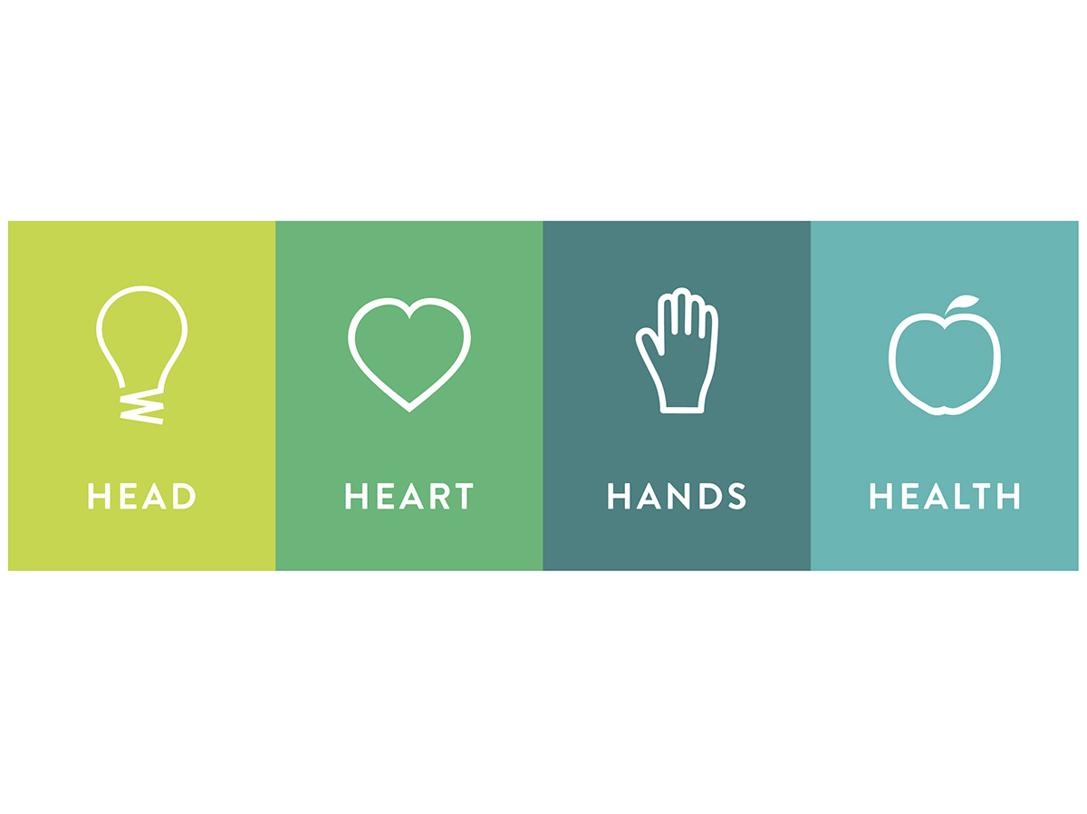 Head Heart Hands Health Icons for enews.jpg
