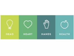 Head Heart Hands Health Icons for enews.jpg