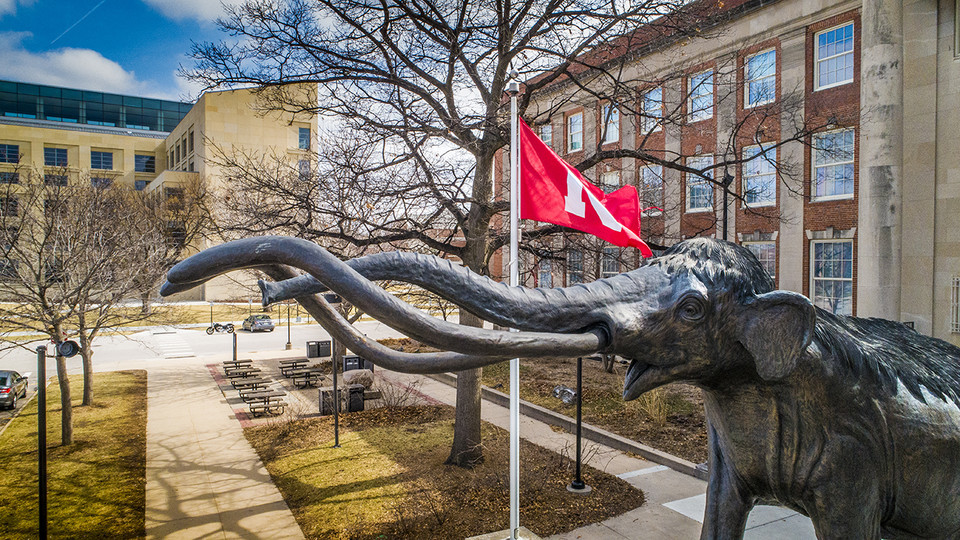 Pass/No Pass policies for Spring 2020 undergraduate courses have been expanded.