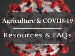 Ag and COVID-19 FAQ