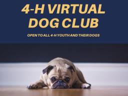 4Hvirtualdogclub-2.jpg