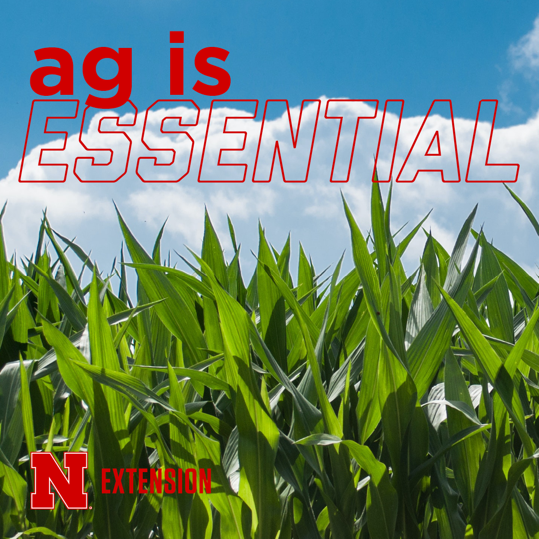 Ag is essential social media graphic