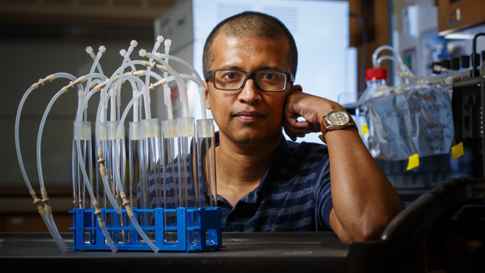 Rajib Saha, assistant professor of chemical and biomolecular engineering, has received an NSF CAREER Award to study how an unusually versatile bacterium can be harnessed to more efficiently break down plant waste. (University Communication photo)