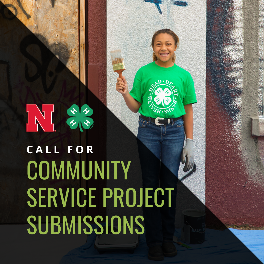 Call for Community Service Project Submissions