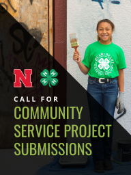 Call for Community Service Project Submissions