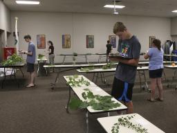 Plant Science Contests 2018 - 07.jpg