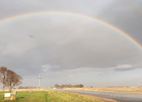 The Conservation and Survey Division recently released a video that shows the variety of projects that the team worked on throughout 2019.