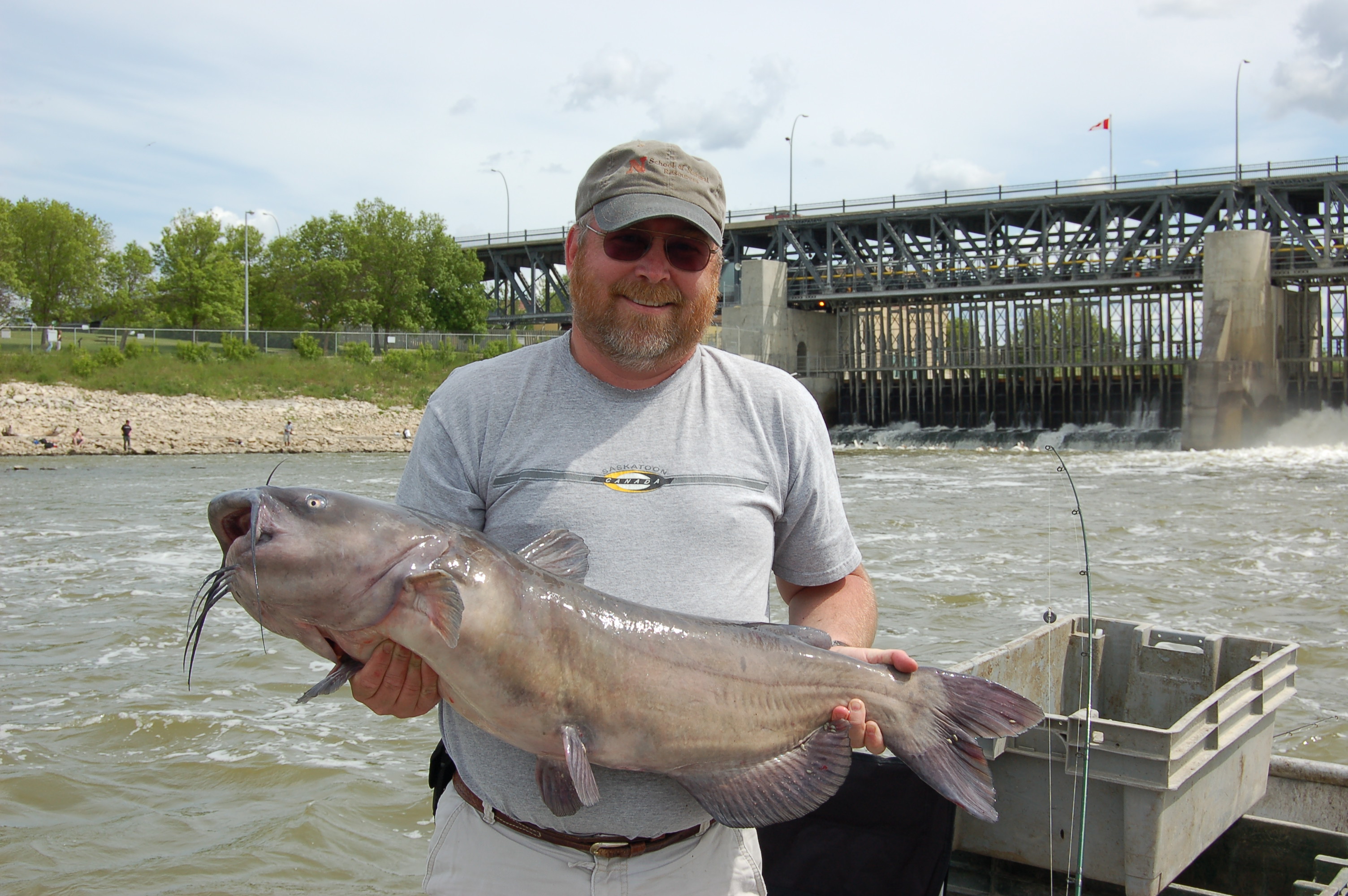 Mark Pegg recently recapped a major study on KXNO Des Moines, describing how he and a team of researchers tagged and tracked the movements of nearly 16,000 channel catfish.