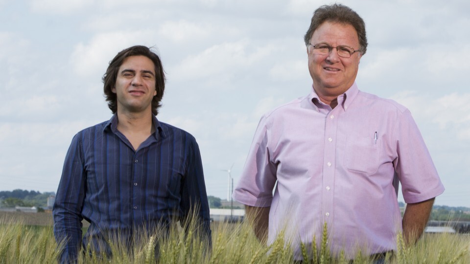 Patricio Grassini (left) and Ken Cassman. Photo by Craig Chandler | University Communication 