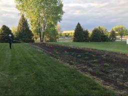 The Food Fort garden early in the growing season.