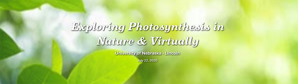 https://yns.nebraska.edu/camps/hs-photosynthesis