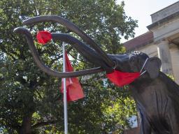 Archie, the woolly mammoth statue outside Morrill Hall, wears a red face covering on his trunk and mouth.