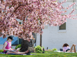 Check out these sunny spots to get your studying on. 