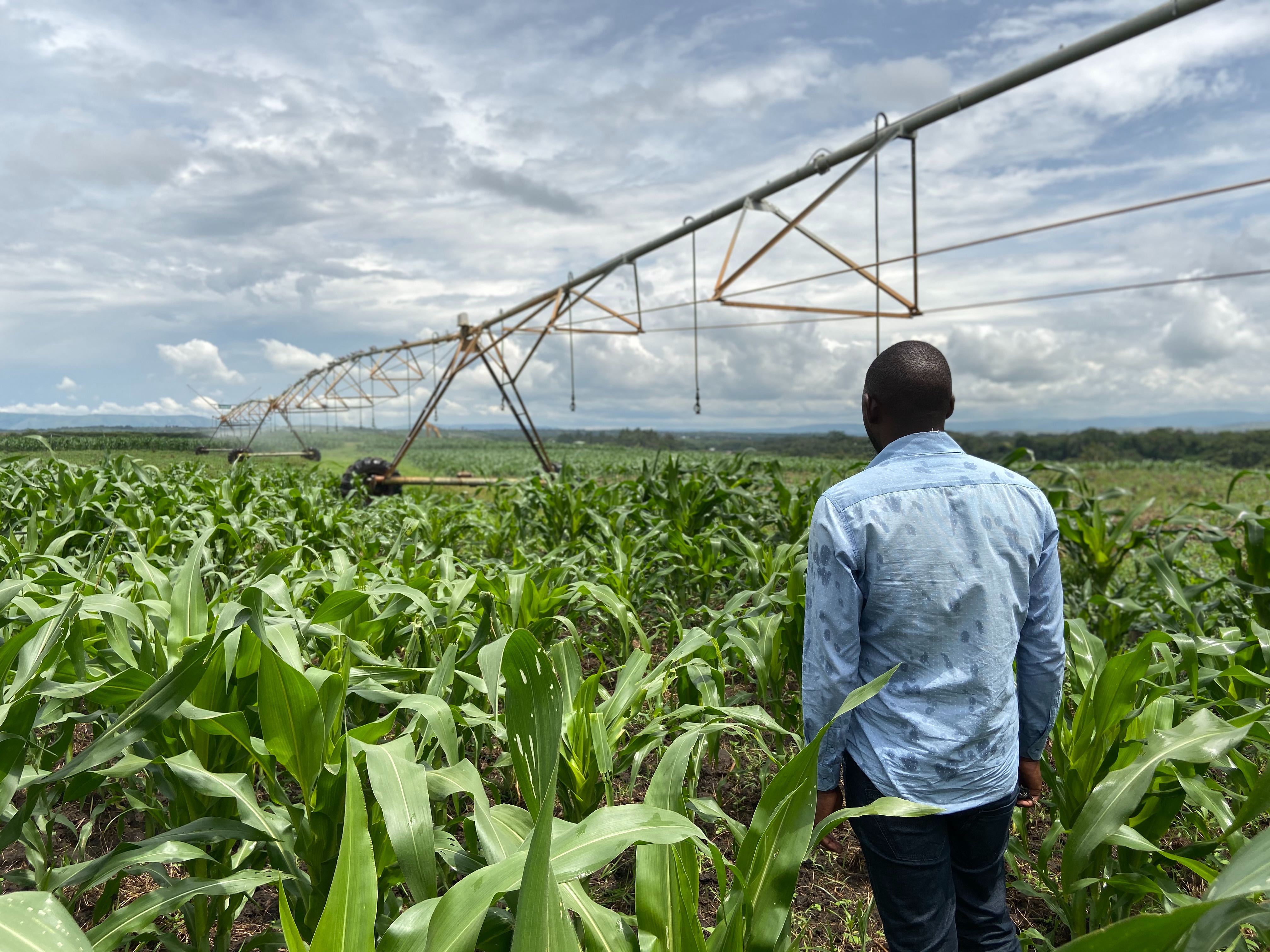 Rwanda Agriculture