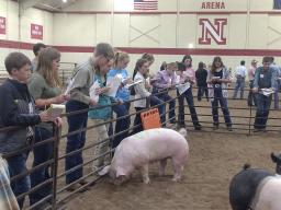 From 2019 PASE Livestock Judging Contest