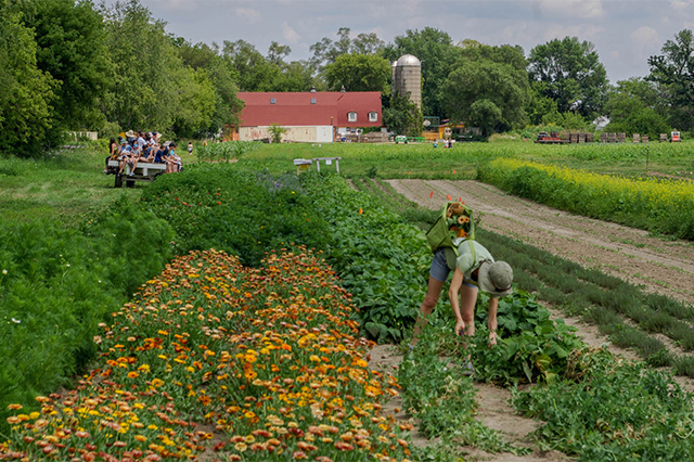 Aspiring Farmer Virtual Course, fall 2020