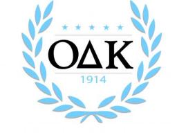 ODK Logo